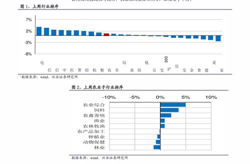 郑州软件开发公司哪家好 郑州小程序开发公司